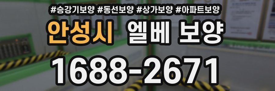 안성시 엘베 보양