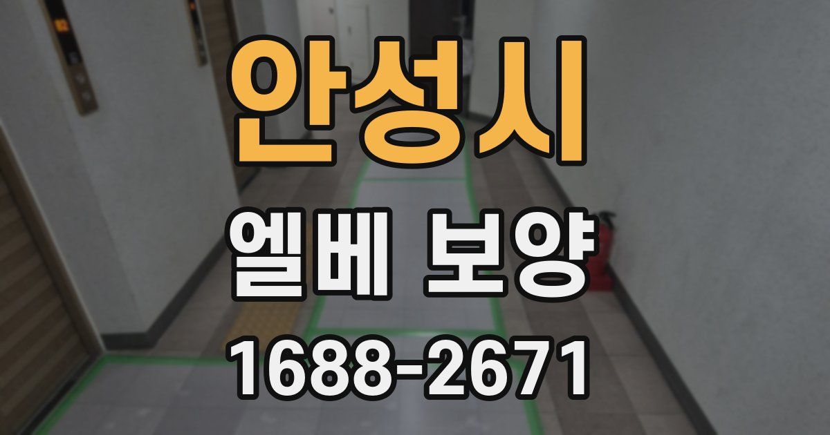 안성시 엘베 보양