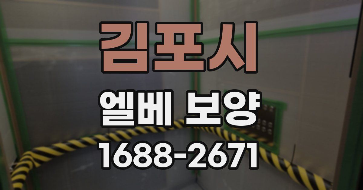 김포시 엘베 보양