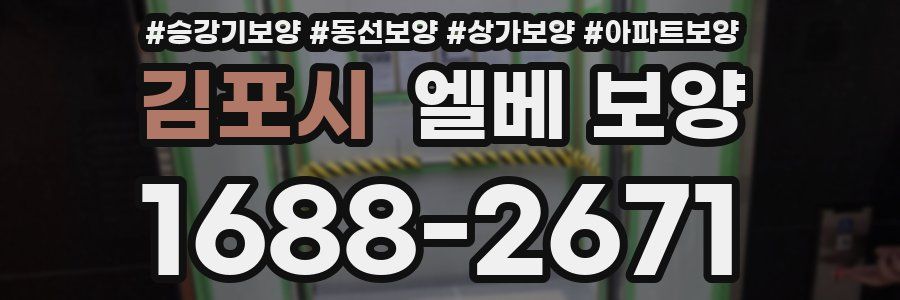김포시 엘베 보양