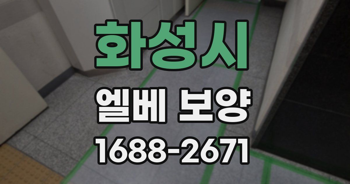 화성시 엘베 보양
