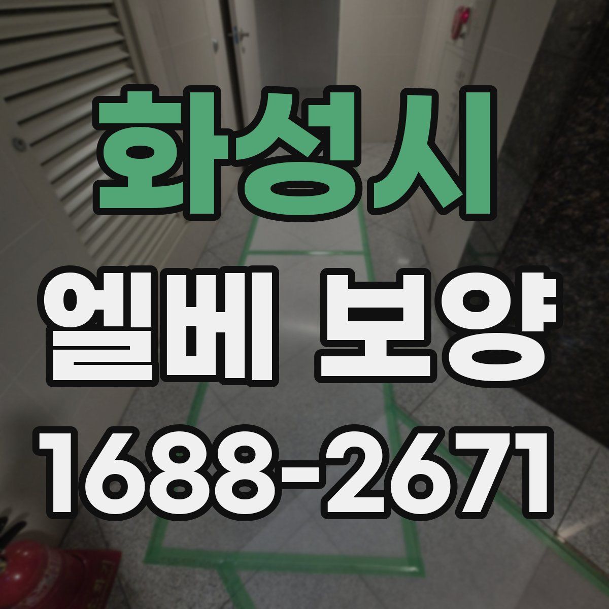 화성시 엘베 보양