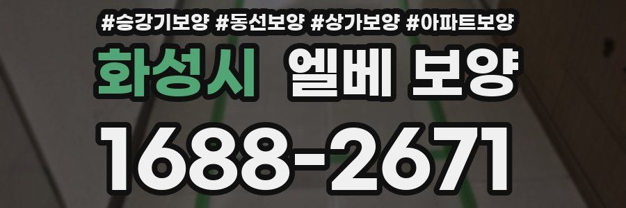 화성시 엘베 보양
