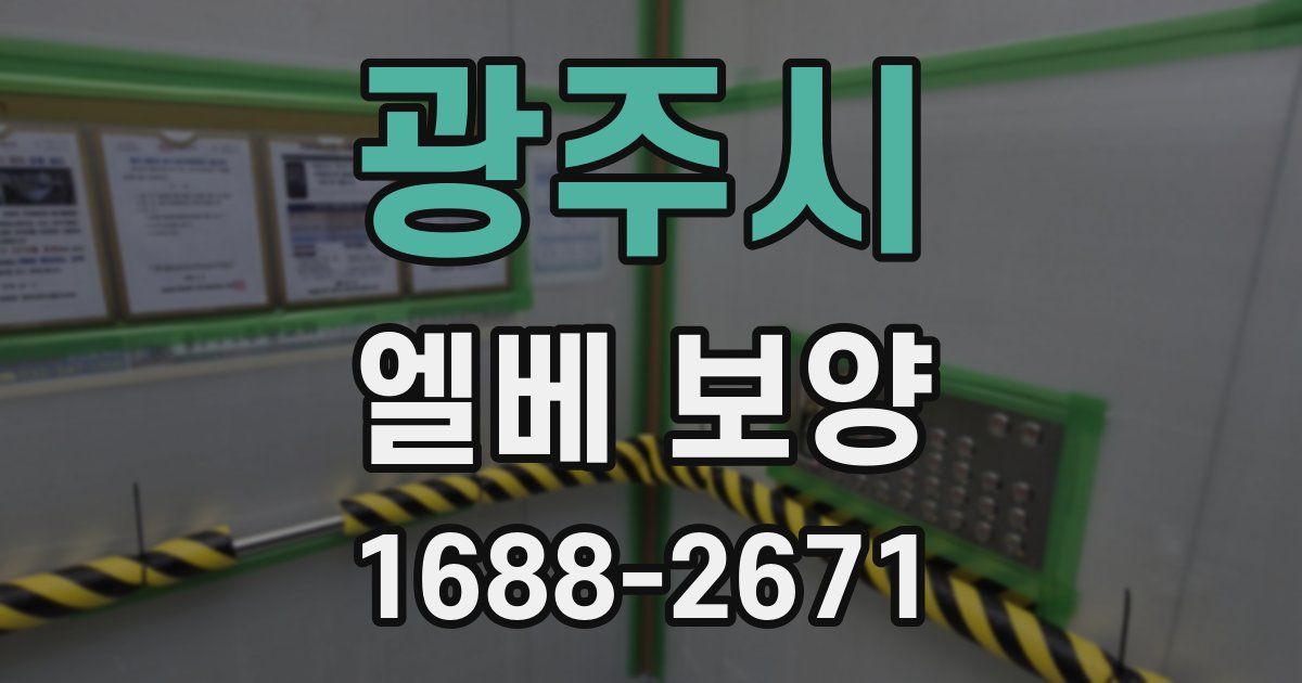 광주시 엘베 보양