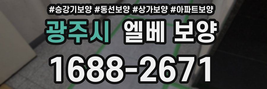 광주시 엘베 보양