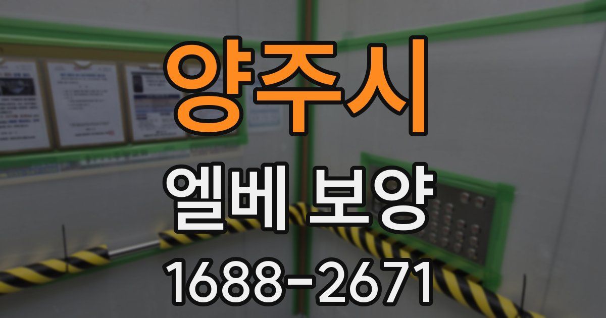 양주시 엘베 보양