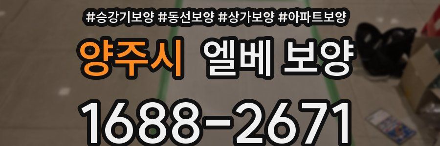 양주시 엘베 보양