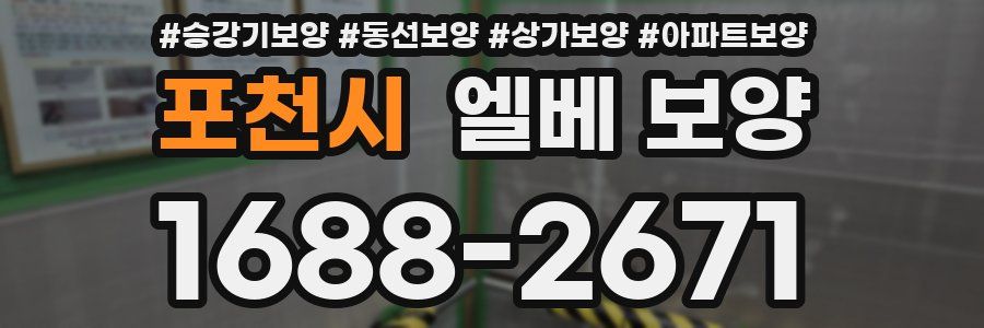 포천시 엘베 보양