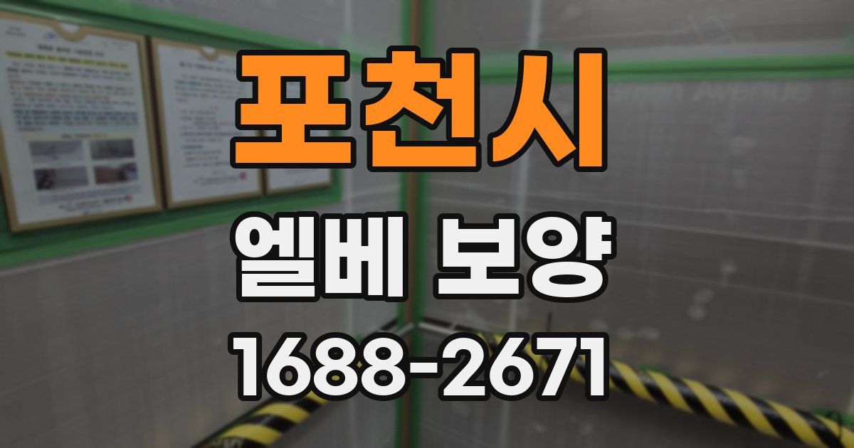 포천시 엘베 보양