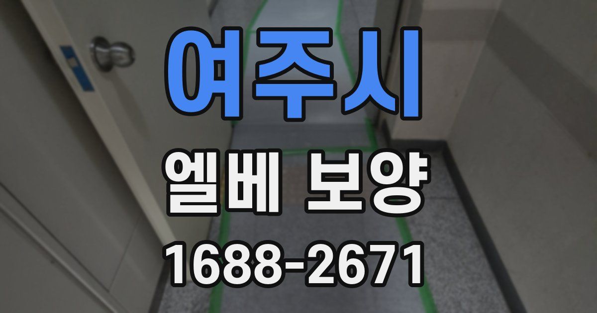 여주시 엘베 보양
