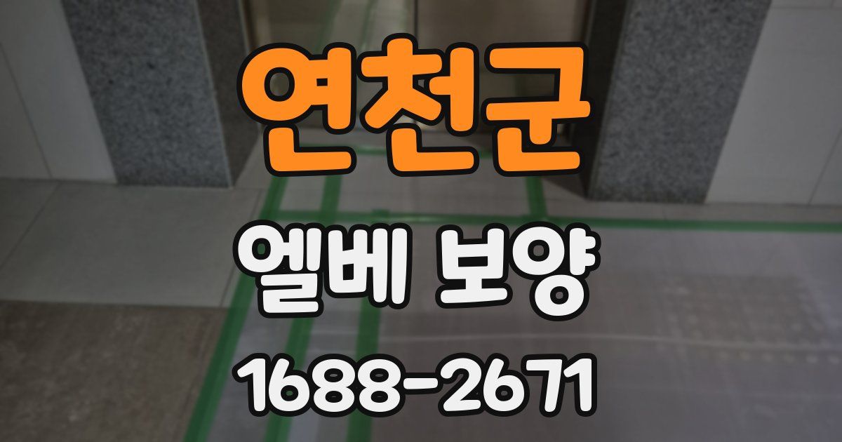 연천군 엘베 보양