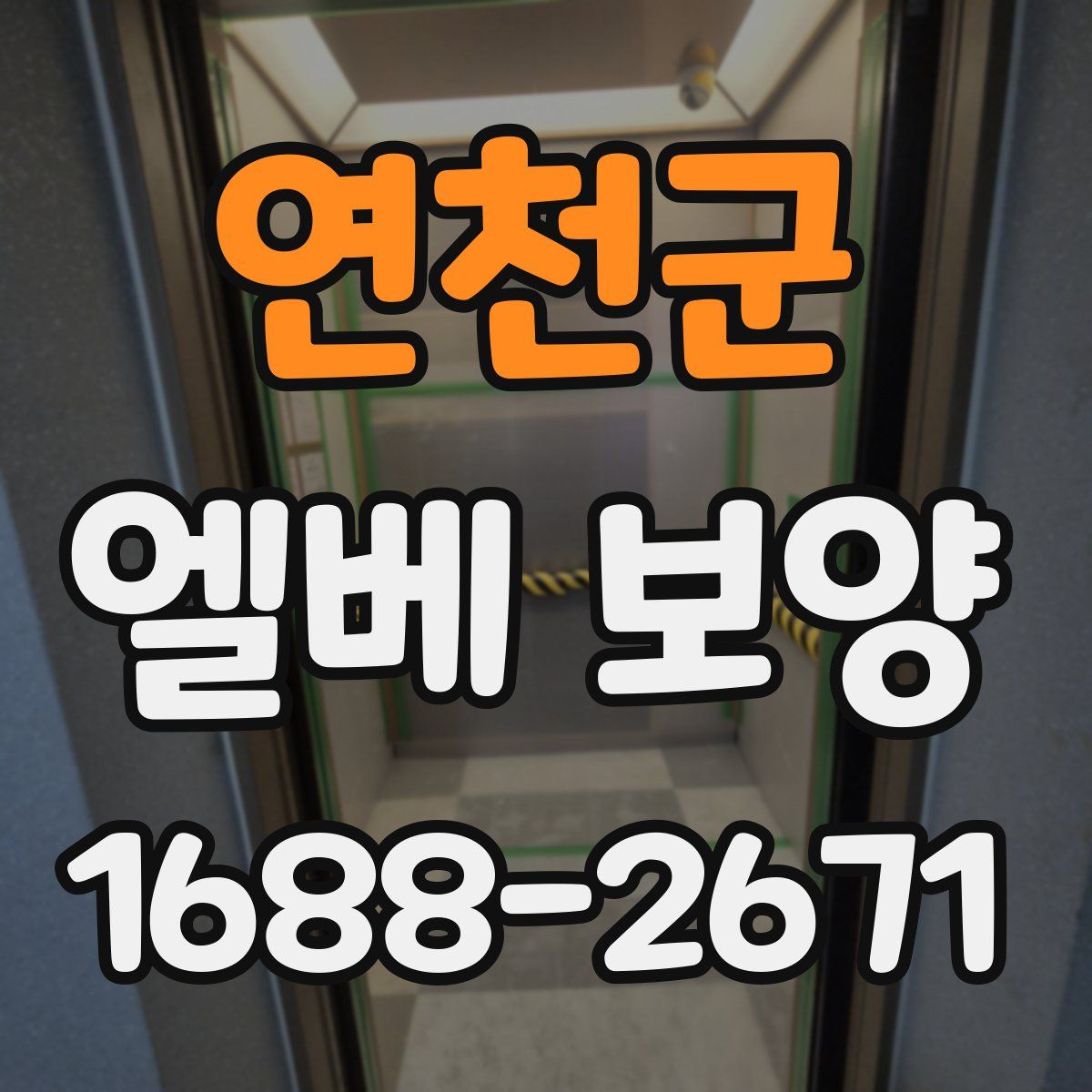 연천군 엘베 보양