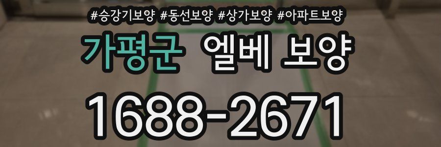 가평군 엘베 보양