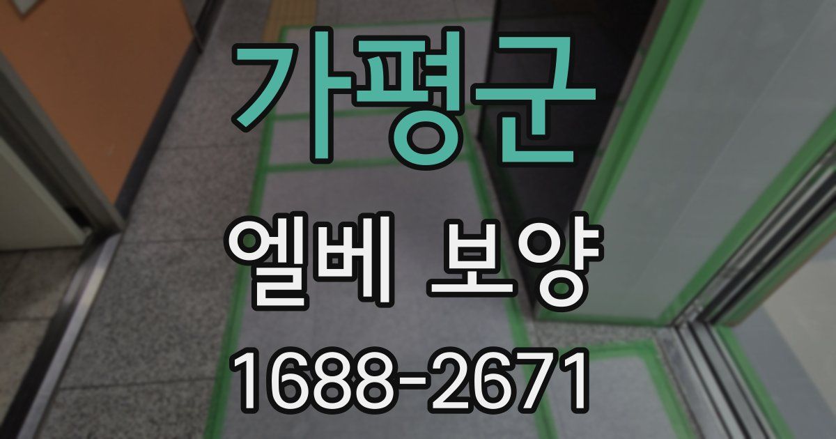가평군 엘베 보양