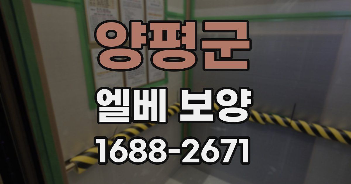 양평군 엘베 보양
