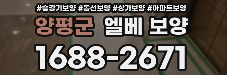 양평군 엘베 보양