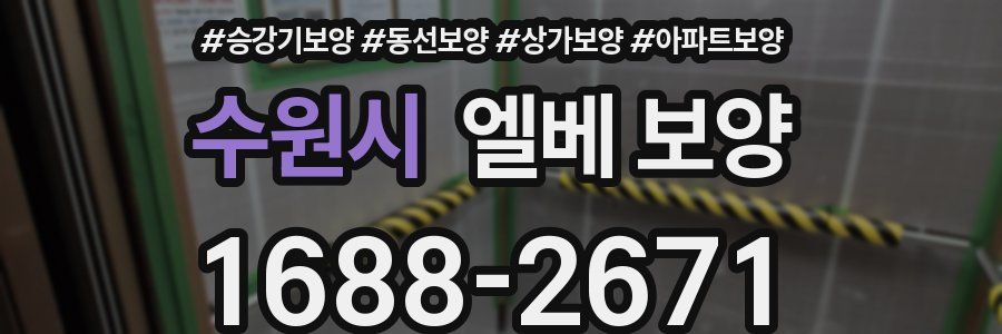 수원시 엘베 보양