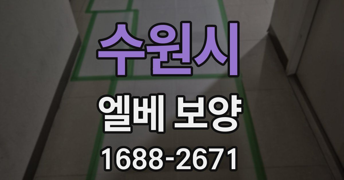 수원시 엘베 보양