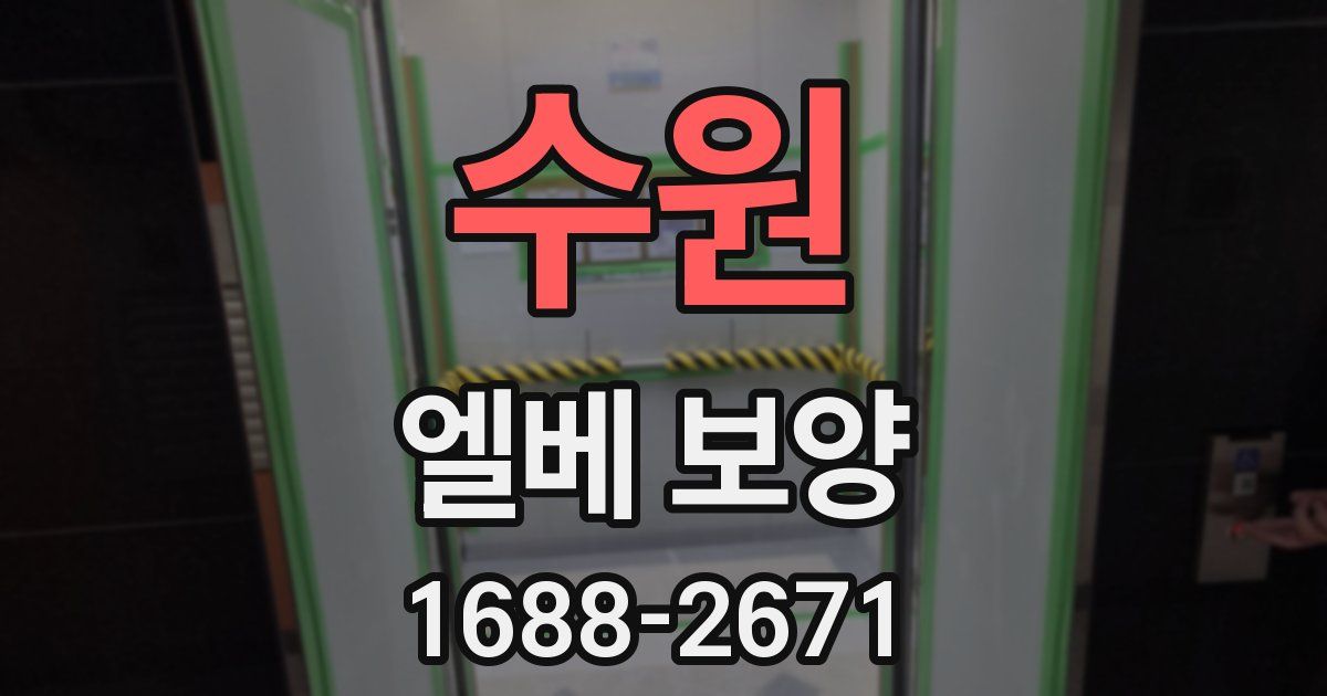 수원 엘베 보양