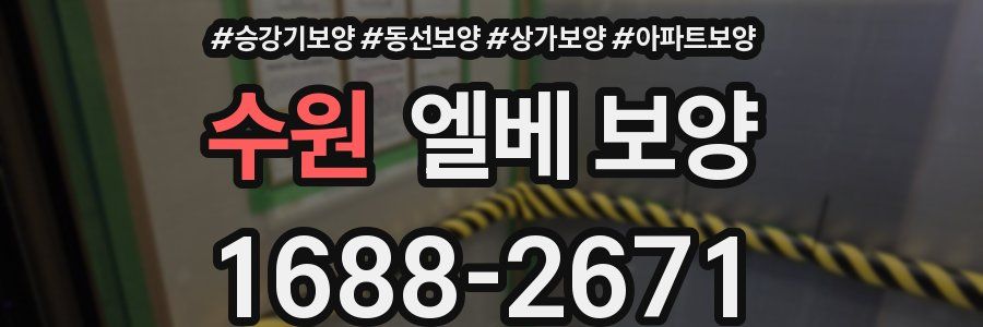 수원 엘베 보양