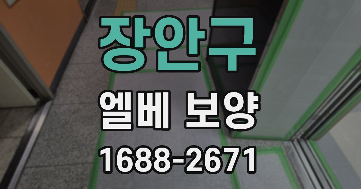장안구 엘베 보양