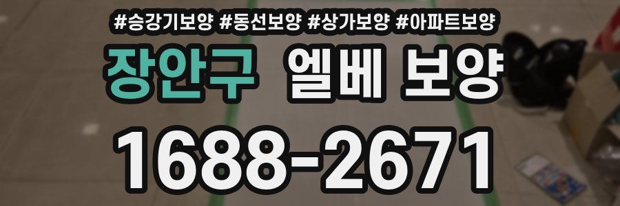 장안구 엘베 보양