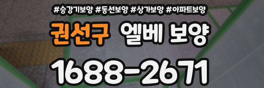 권선구 엘베 보양