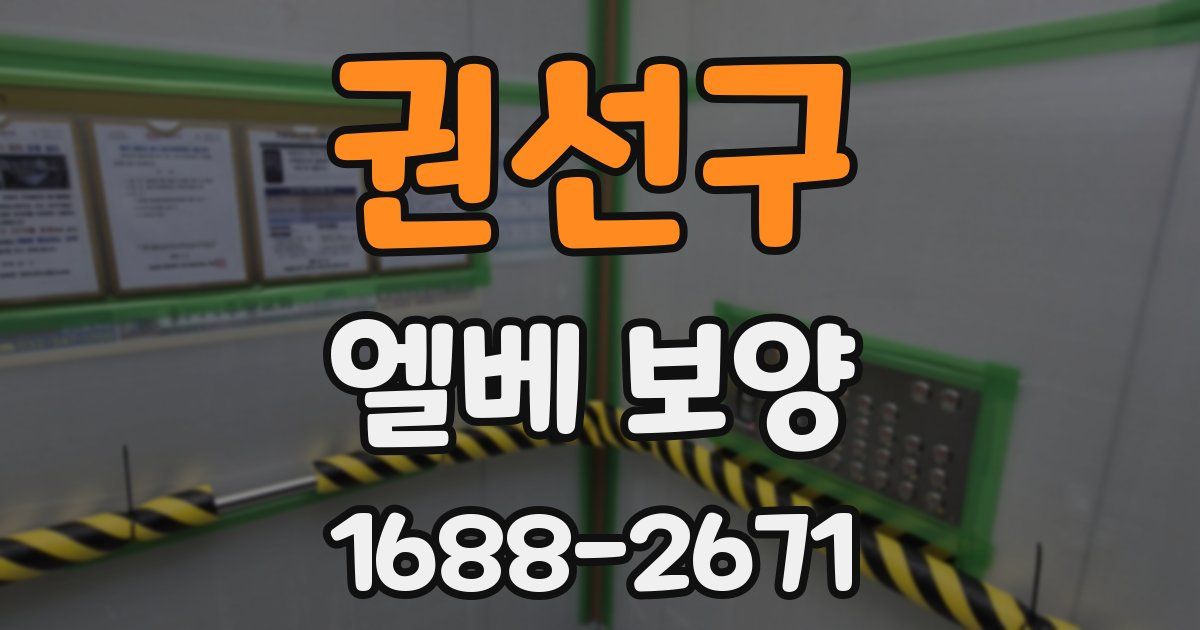 권선구 엘베 보양