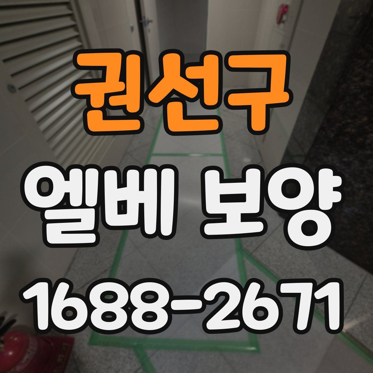 권선구 엘베 보양