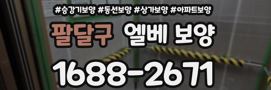 팔달구 엘베 보양