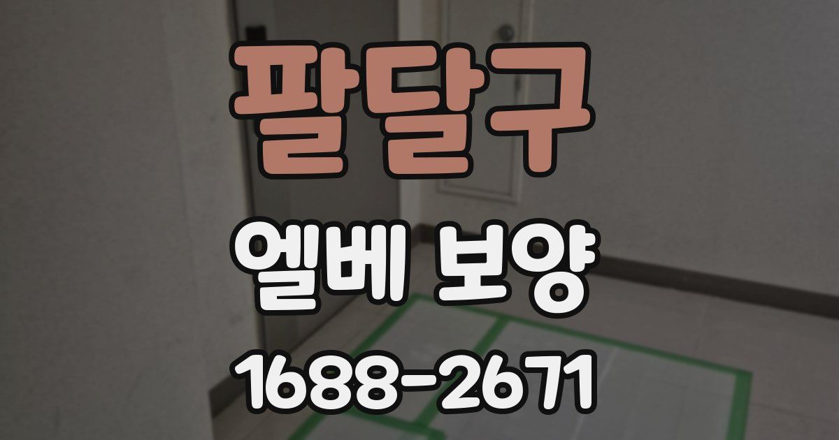 팔달구 엘베 보양
