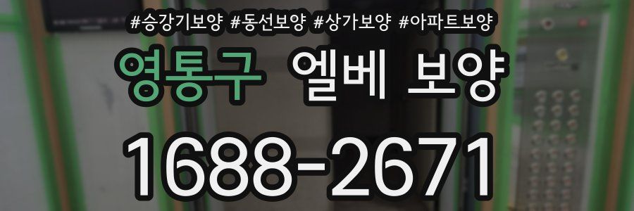 영통구 엘베 보양