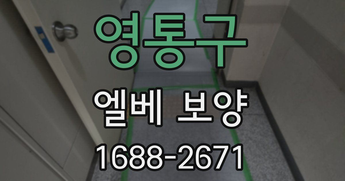 영통구 엘베 보양