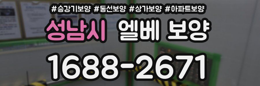 성남시 엘베 보양