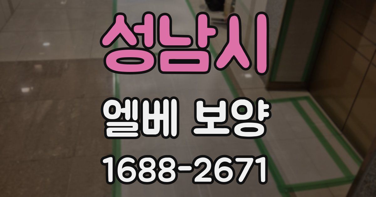 성남시 엘베 보양