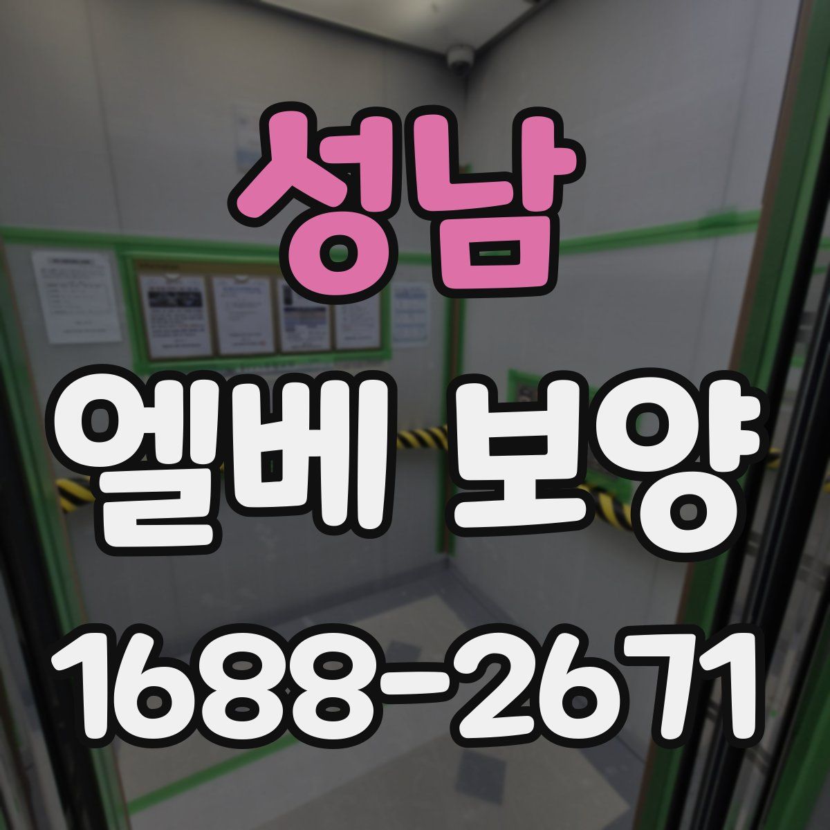 성남 엘베 보양