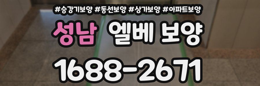 성남 엘베 보양