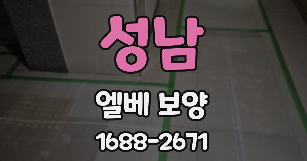 성남 엘베 보양