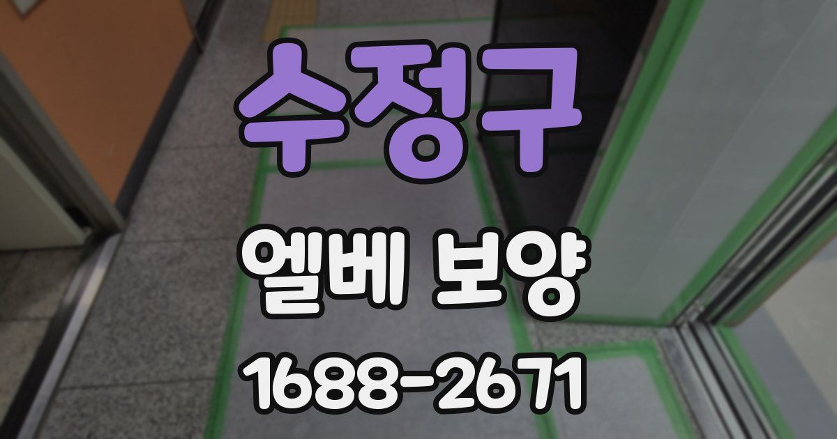 수정구 엘베 보양