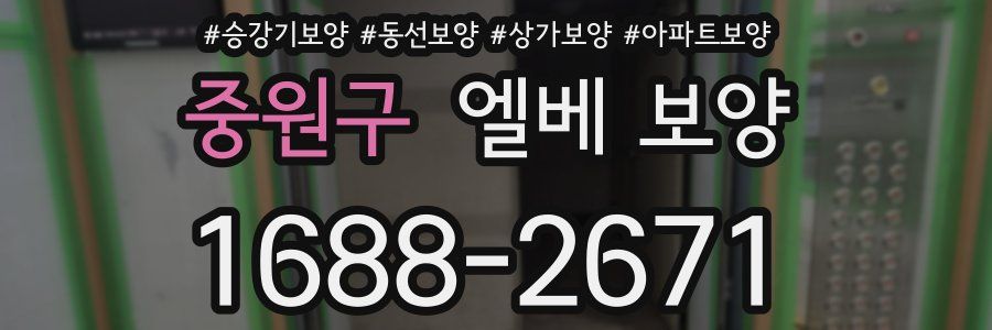 중원구 엘베 보양