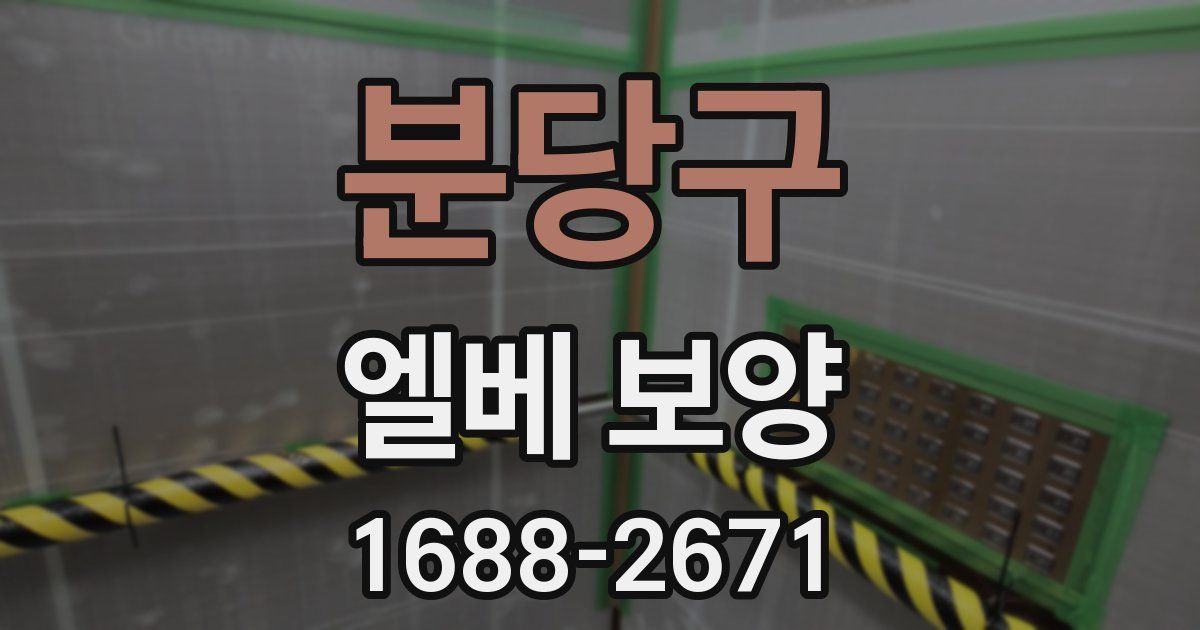 분당구 엘베 보양