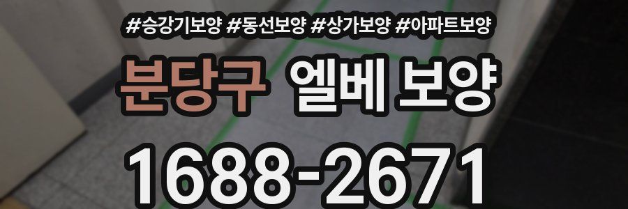 분당구 엘베 보양