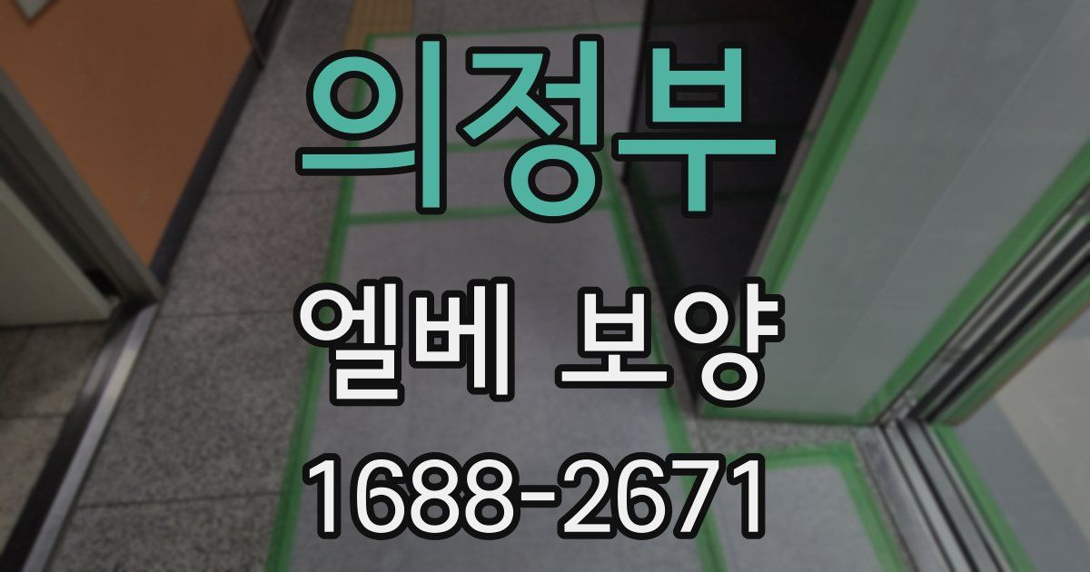 의정부 엘베 보양