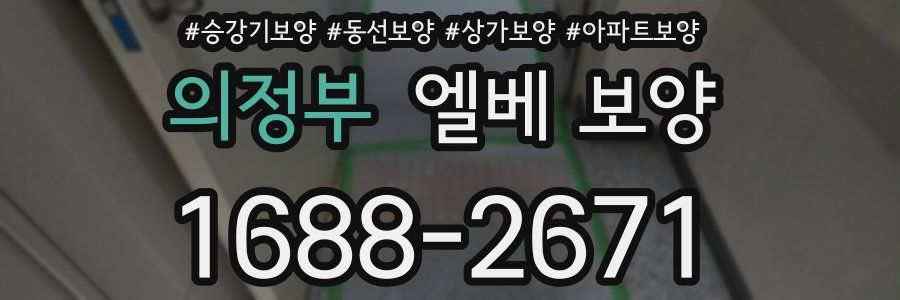 의정부 엘베 보양