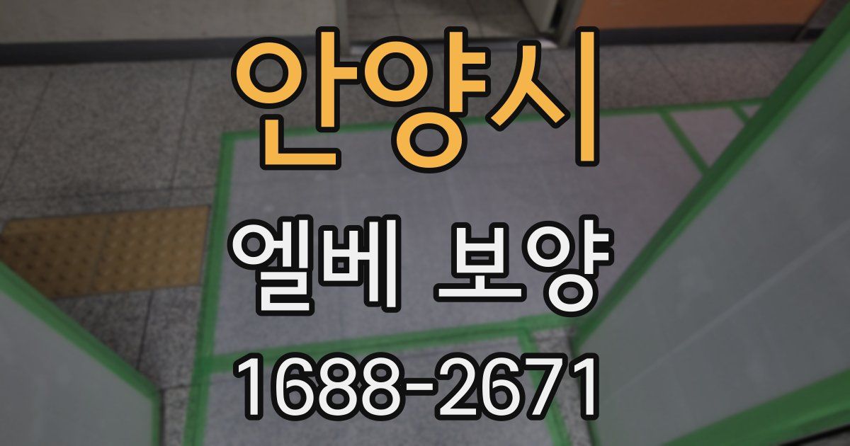 안양시 엘베 보양