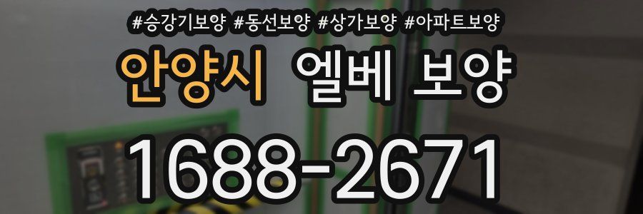 안양시 엘베 보양