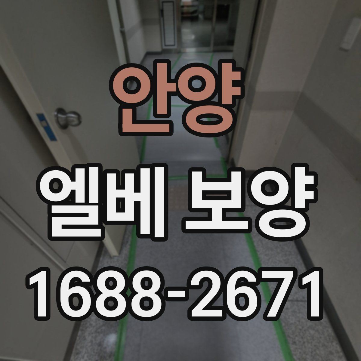 안양 엘베 보양 승강기 내부와 출입부를 나눠 보는 방법