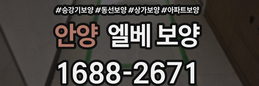 안양 엘베 보양