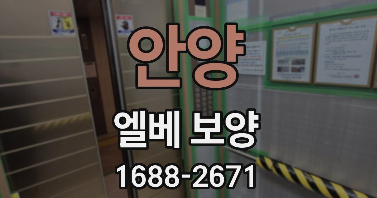 안양 엘베 보양