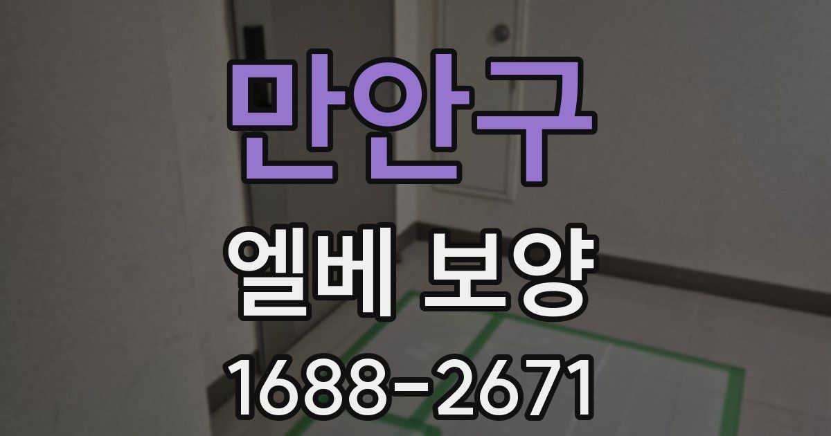 만안구 엘베 보양